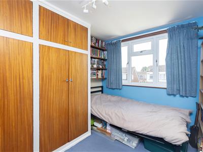 Picture 15